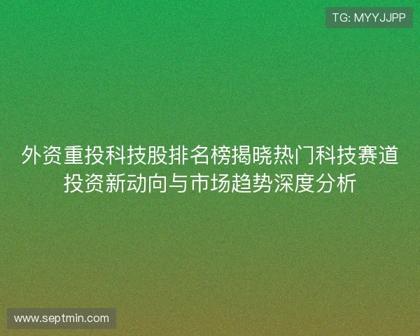 外资重投科技股排名榜揭晓热门科技赛道投资新动向与市场趋势深度分析 外资重投科技股排名榜揭晓热门科技赛道投资新动向与市场趋势深度分析